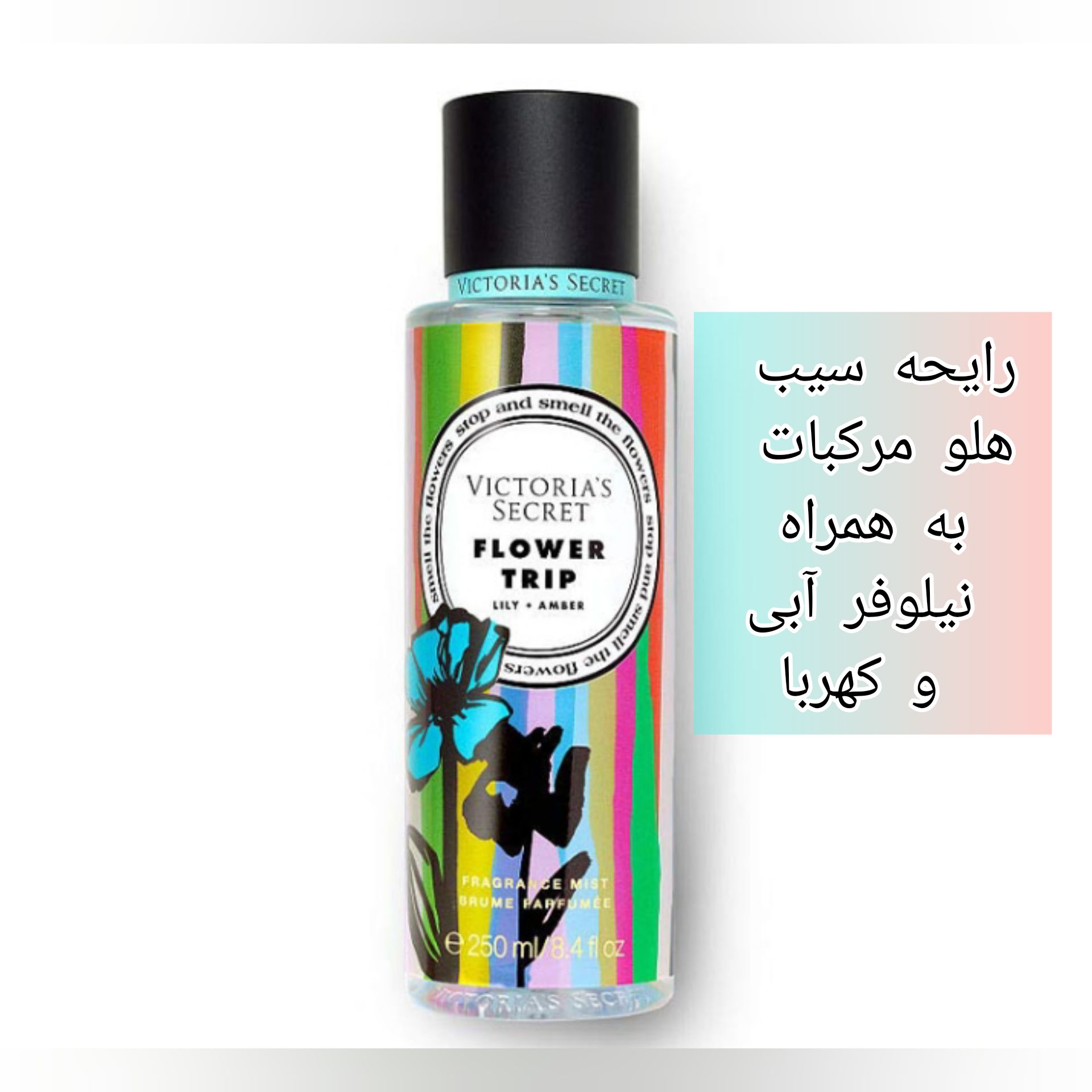 بادی اسپلش ۲۵۰ میل اماراتی ویکتوریا سکرت رایحه فلاور تریپ های کپی